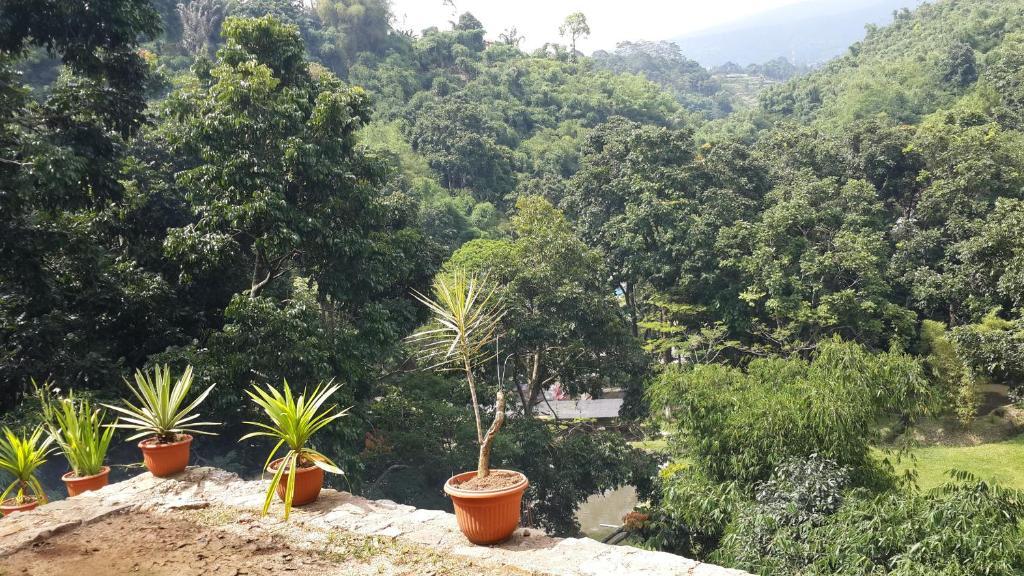 Bantal Guling Villa เล็มบัง ภายนอก รูปภาพ